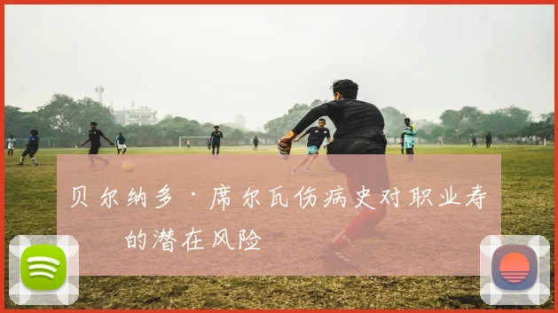 贝尔纳多·席尔瓦伤病史对职业寿命的潜在风险