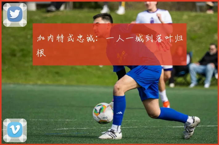 加内特式忠诚：一人一城到落叶归根
