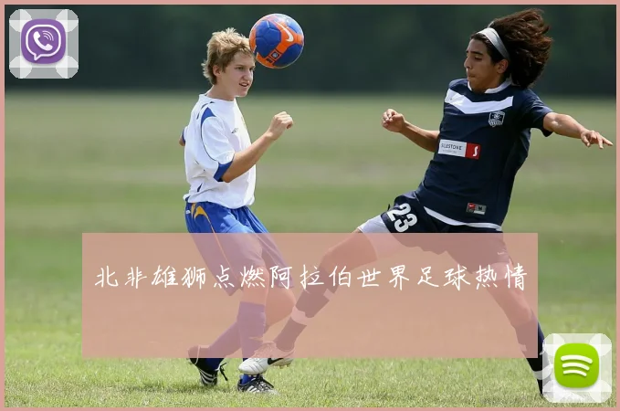 北非雄狮点燃阿拉伯世界足球热情