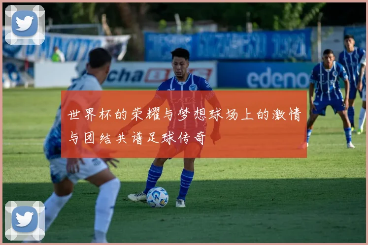 世界杯的荣耀与梦想球场上的激情与团结共谱足球传奇