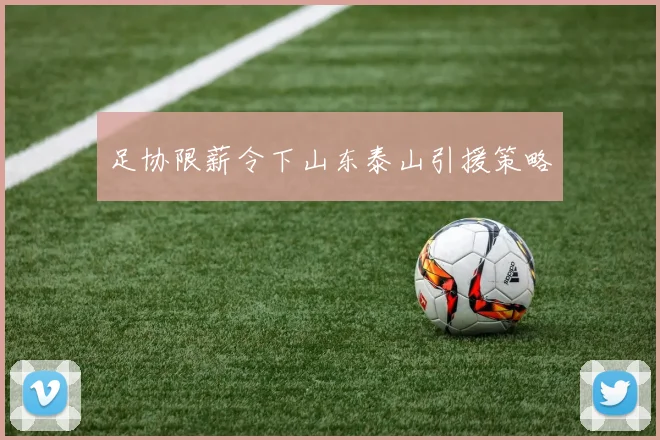 足协限薪令下山东泰山引援策略
