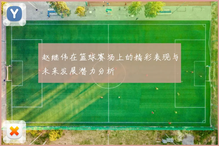 赵继伟在篮球赛场上的精彩表现与未来发展潜力分析