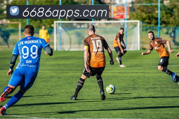 6686官网平台生态图